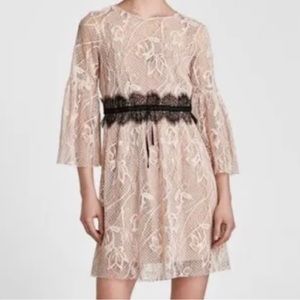 Zara Basic Contrasting Lace Dress